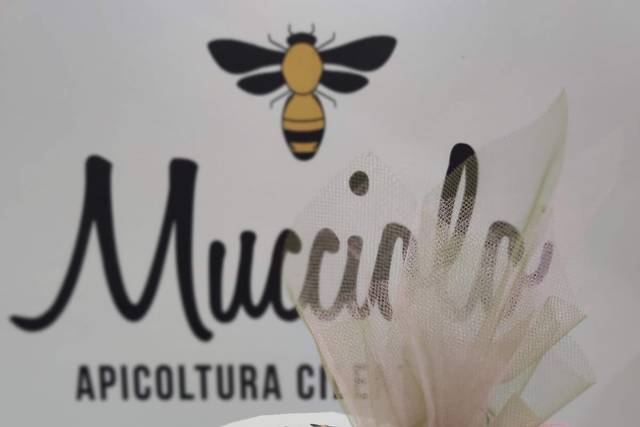 Mucciolo - Apicoltura Cilentana