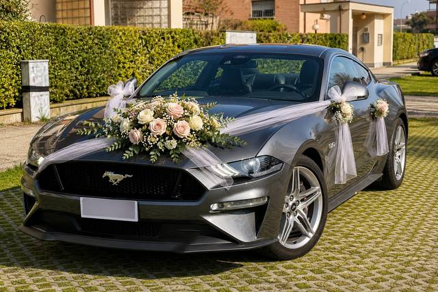 Macchi - Ford Mustang