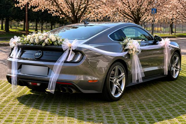 Ford Mustang GT 5.0 V8