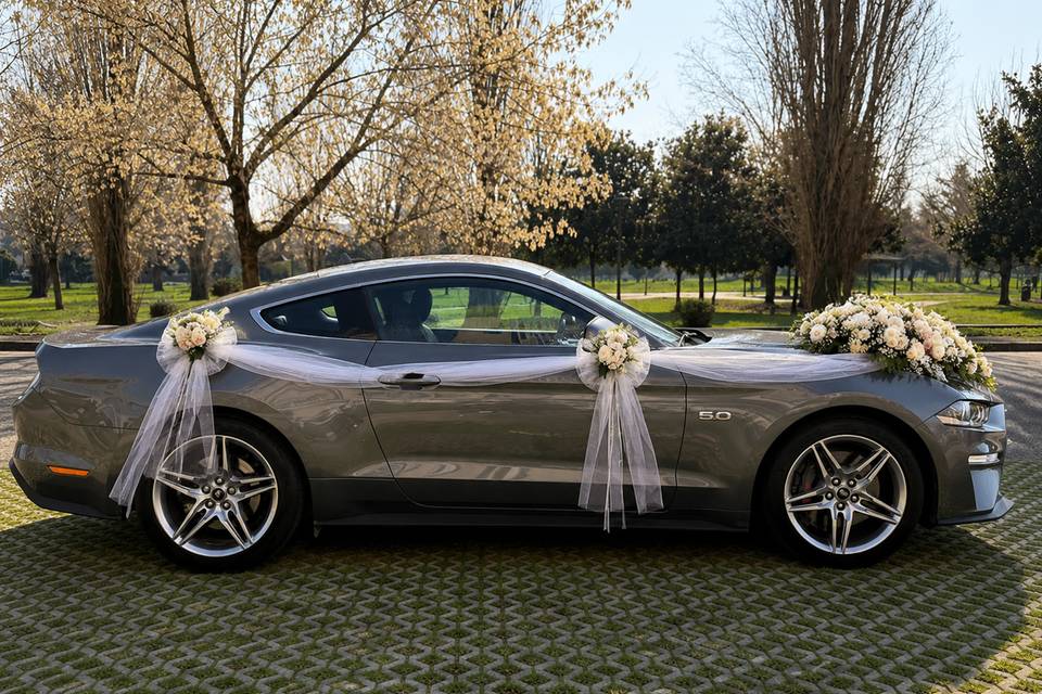 Ford Mustang GT 5.0 V8