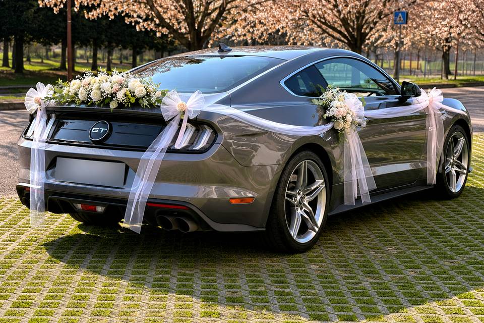 Ford Mustang GT 5.0 V8