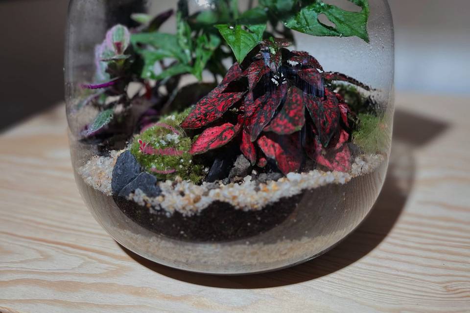 Terrario