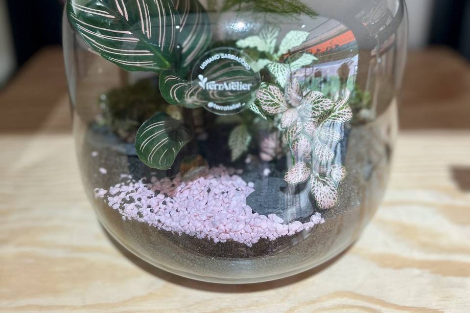 Terrario