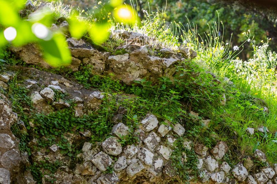 Villa romana I sec A.C.