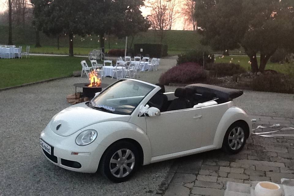 New Beetle 2016