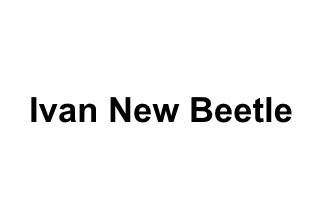 Ivan New Beetle