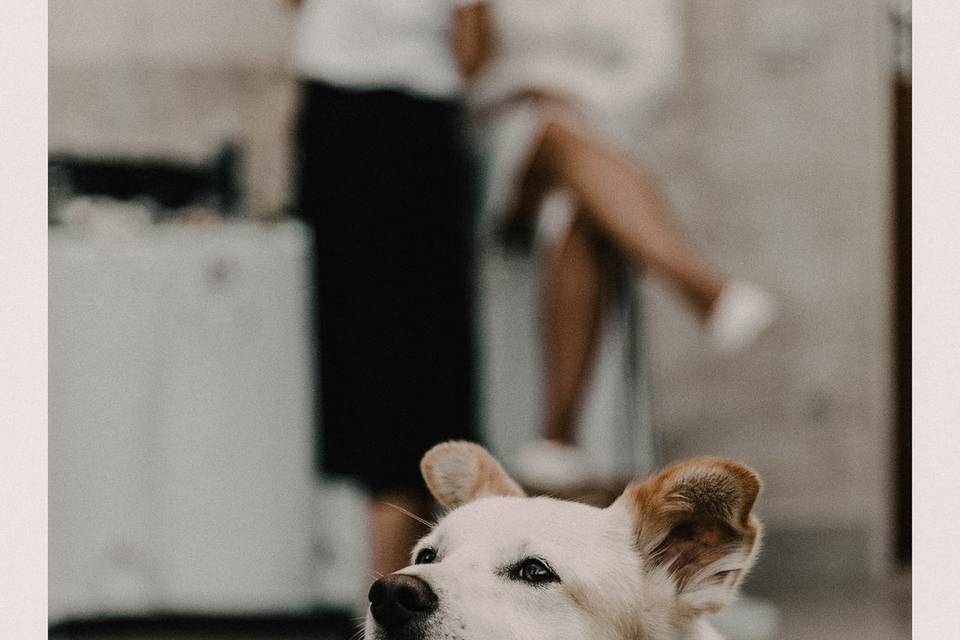 Aurea Fotografica