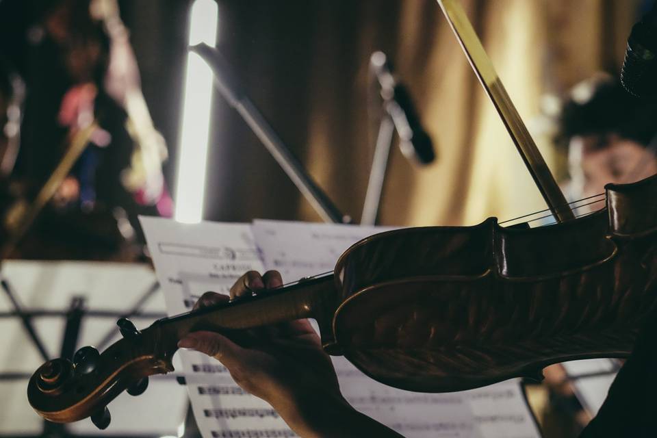 Pianista Matrimonio Cuneo