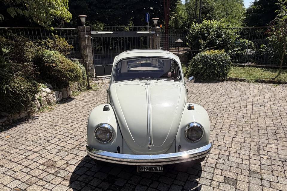 Fronte