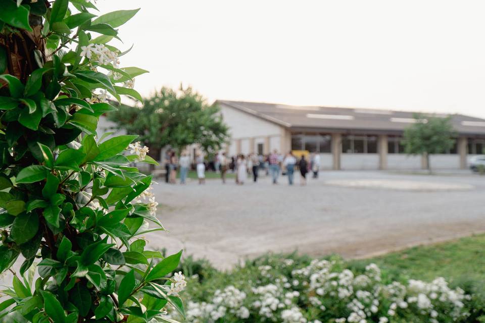 La Piazza