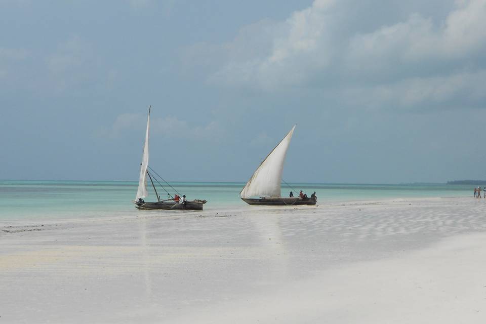 Zanzibar