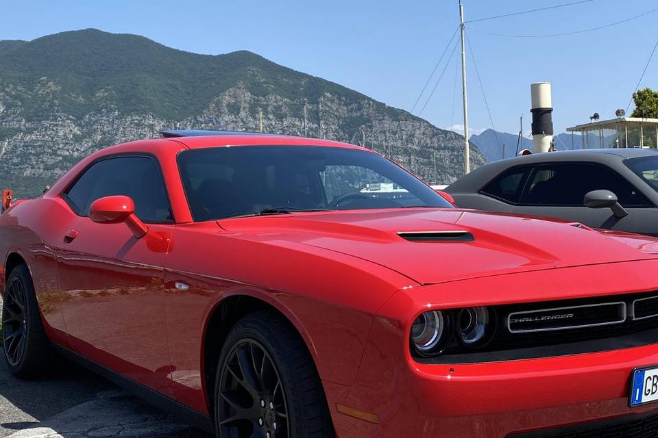 Dodge challenger