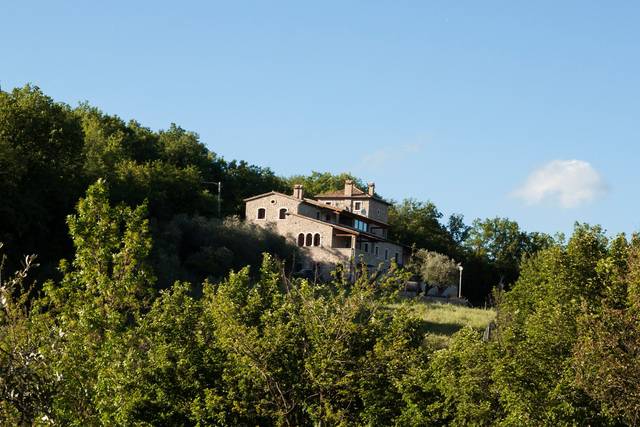 Immersi nel verde