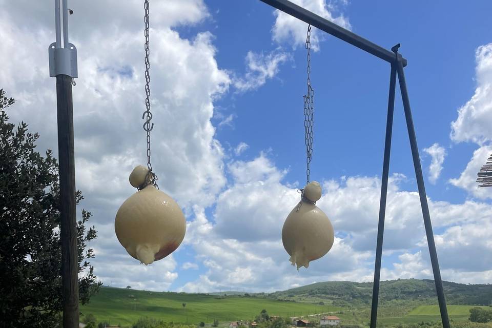 Il caciocavallo impiccato