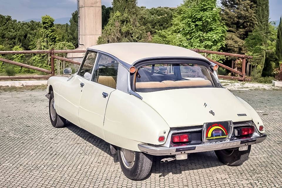 Citroen DS crema