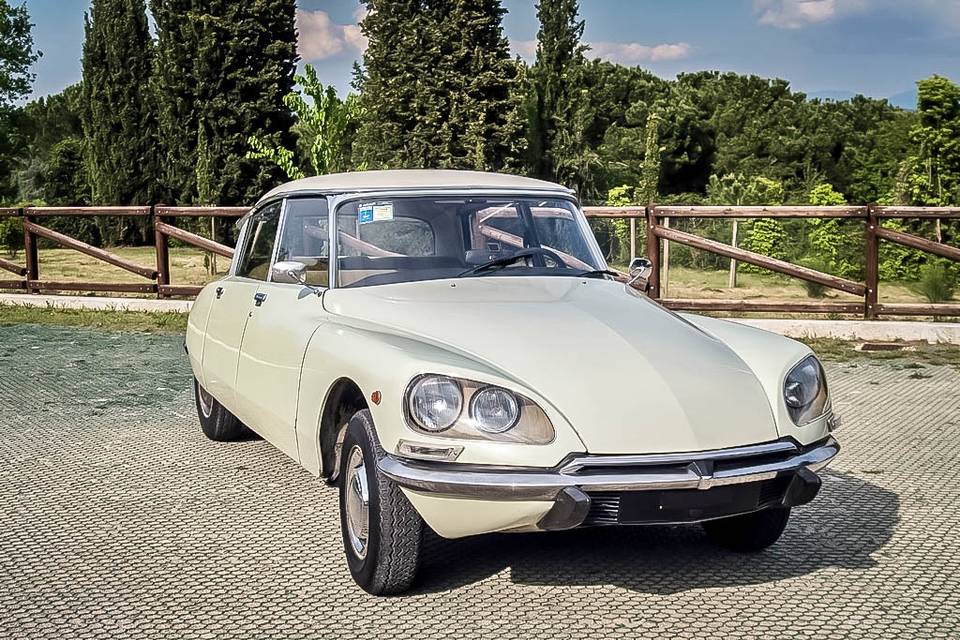 Citroen DS crema