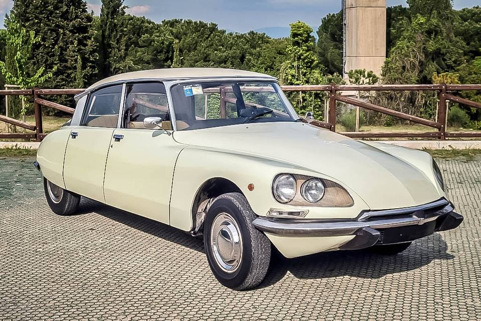 Citroen DS crema