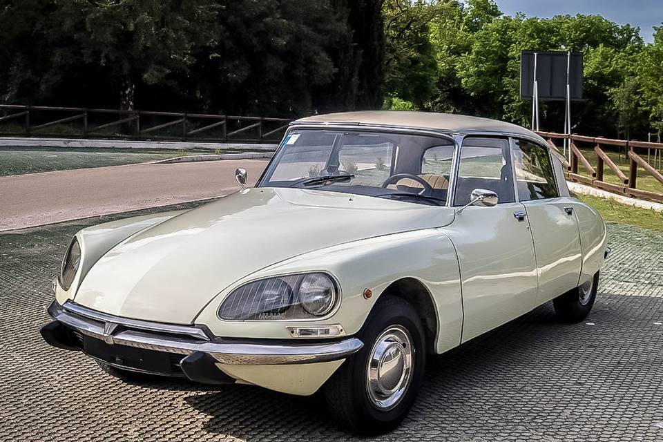 Citroen DS crema