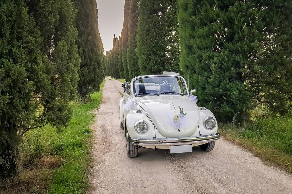 Maggiolino bianco cabrio