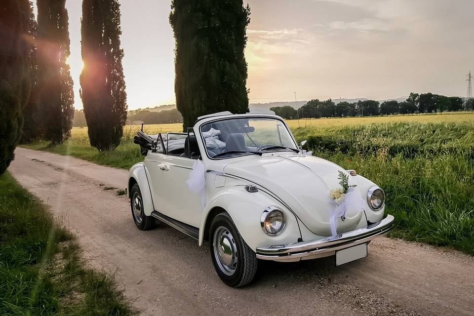 Maggiolino bianco cabrio