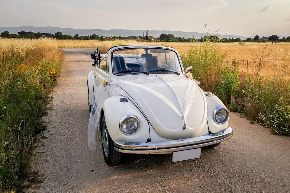 Maggiolino bianco cabrio