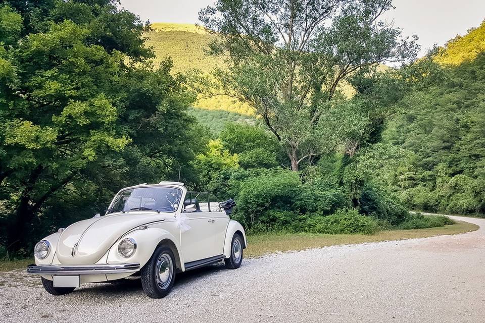 Maggiolino bianco cabrio