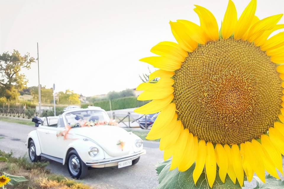 Maggiolino bianco cabrio