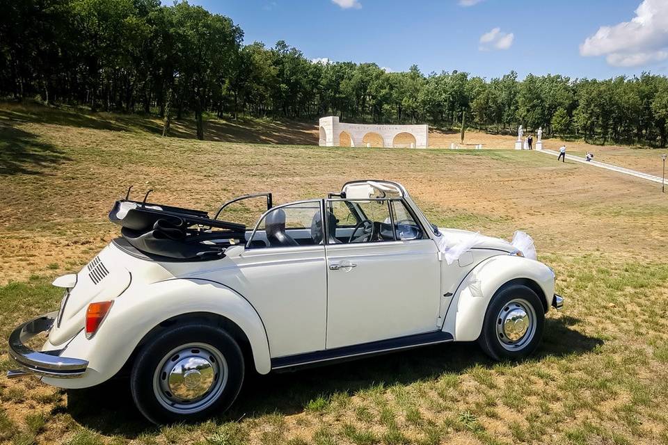 Maggiolino bianco cabrio