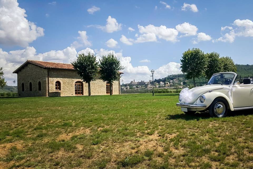 Maggiolino bianco cabrio