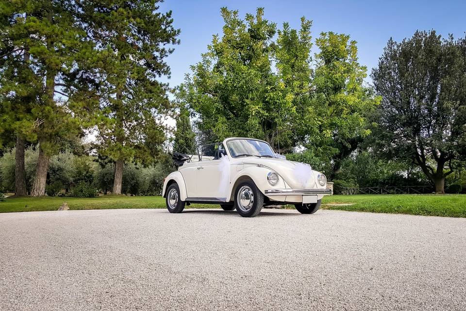 Maggiolino cabrio crema