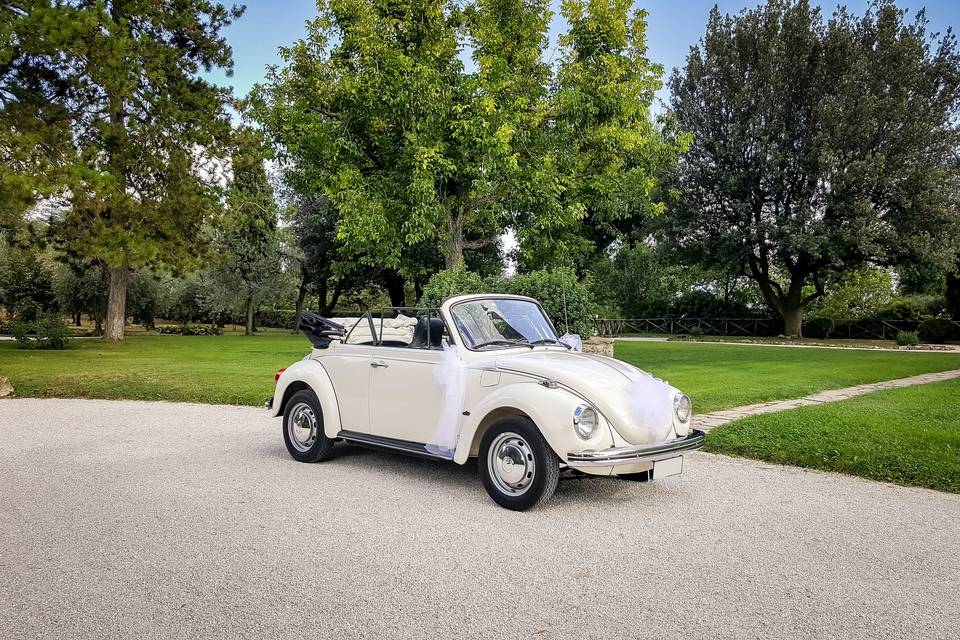 Maggiolino cabrio crema