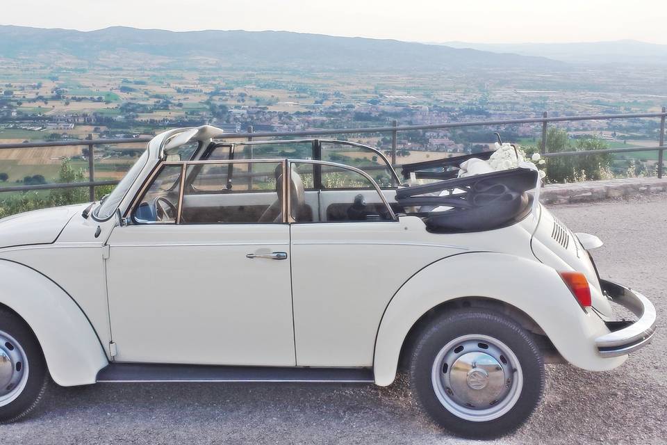 Maggiolino cabrio bianco vw