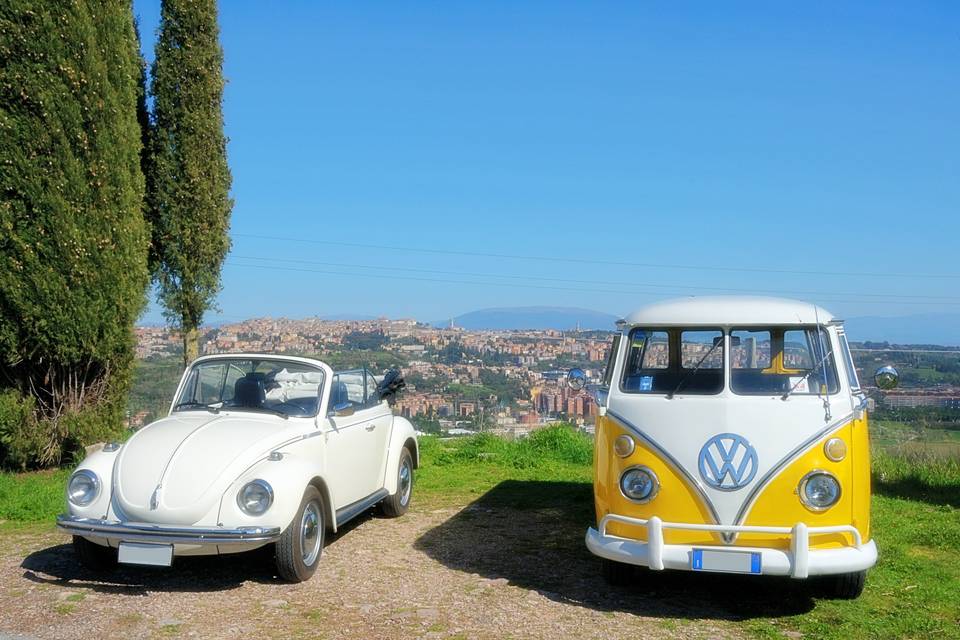 T1 Pulmino Volkswagen