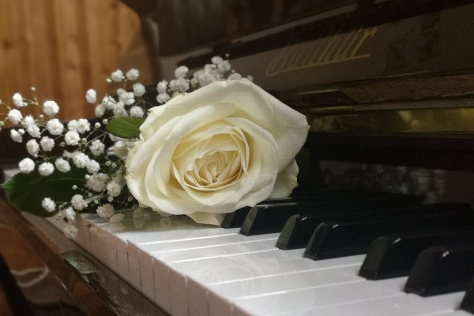 Fiore su pianoforte