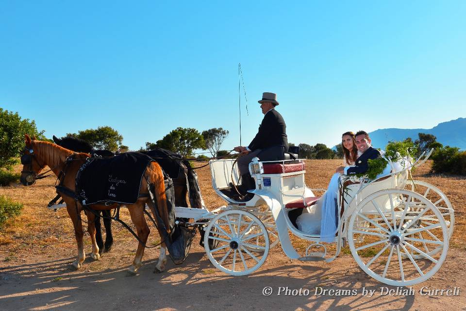 Sardegna da Vivere carrozza