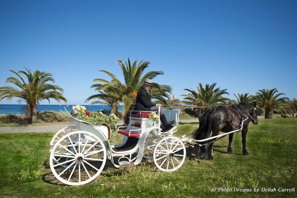 Carrozza con cavallo