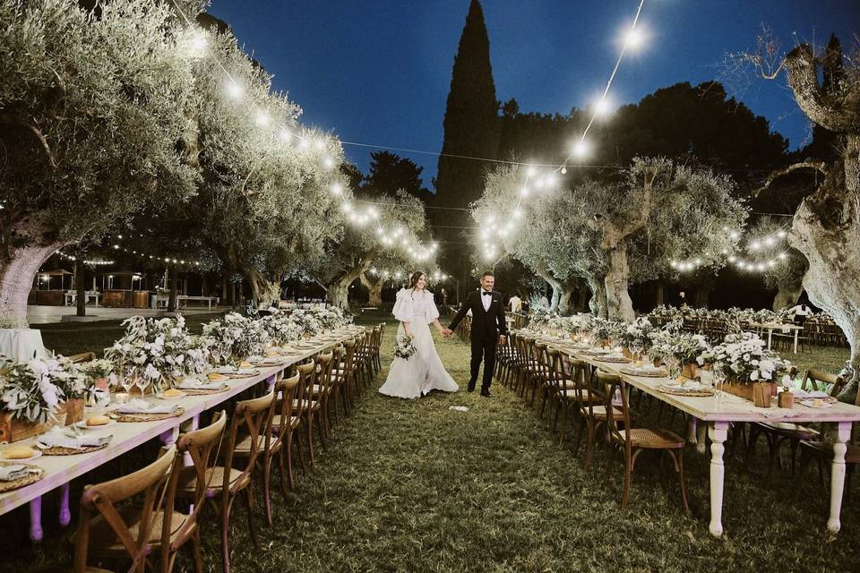Matrimonio in uliveto. Puglia