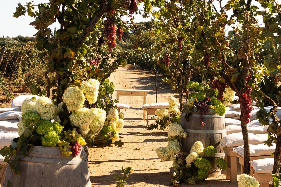 Wedding. Rito in vigna