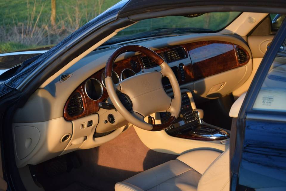 Jaguar