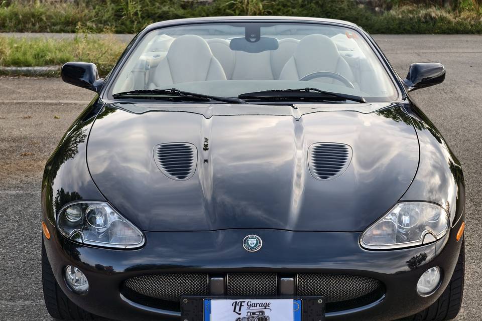Jaguar