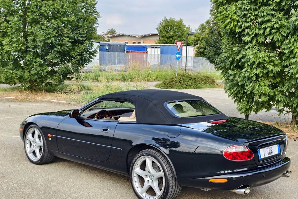 Jaguar