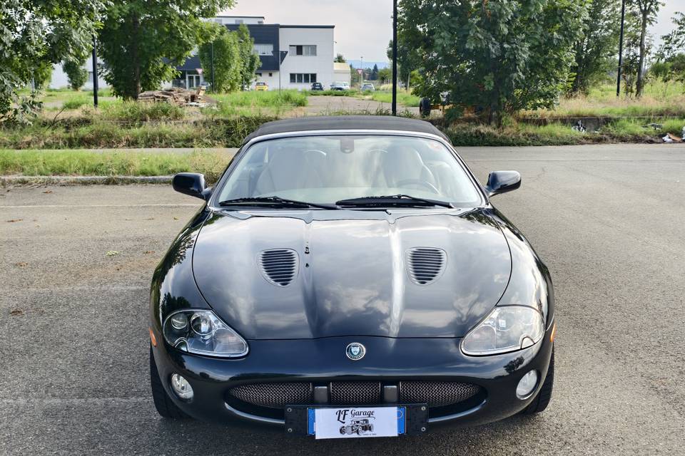 Jaguar