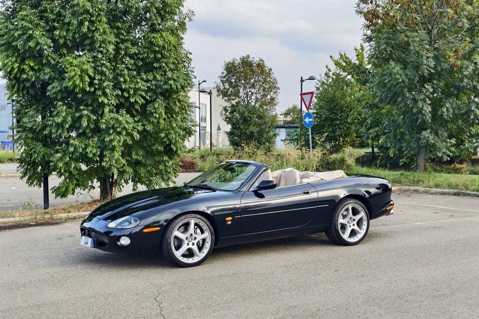 Jaguar