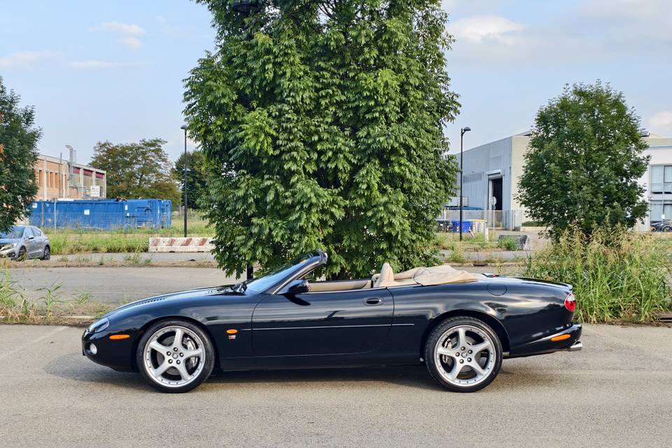 Jaguar