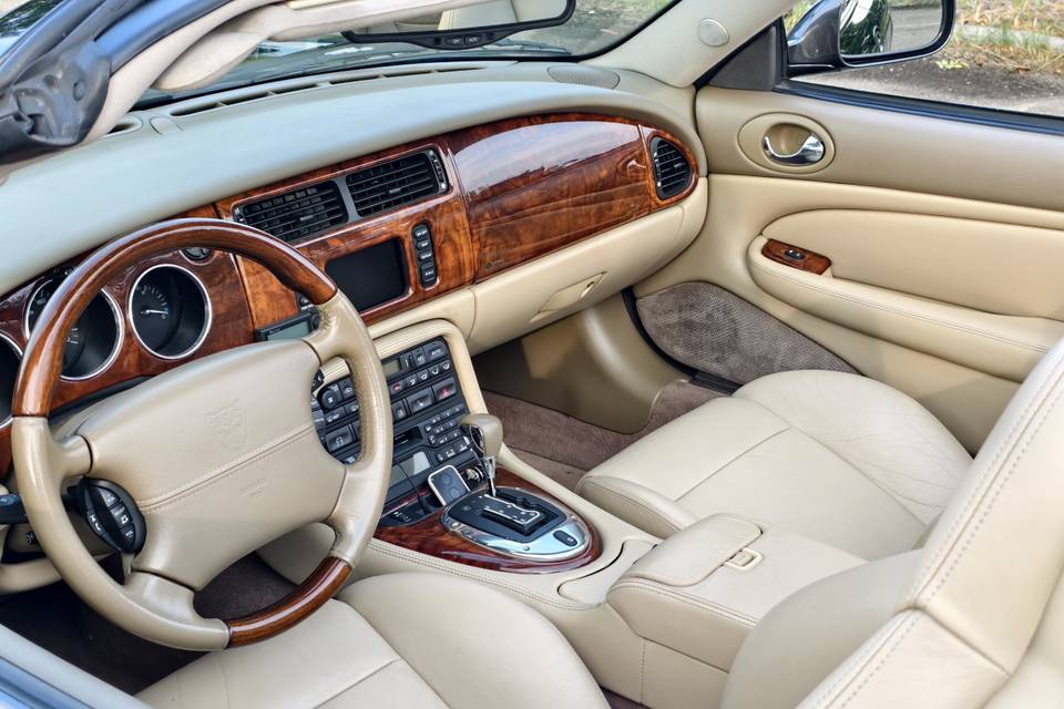 Jaguar