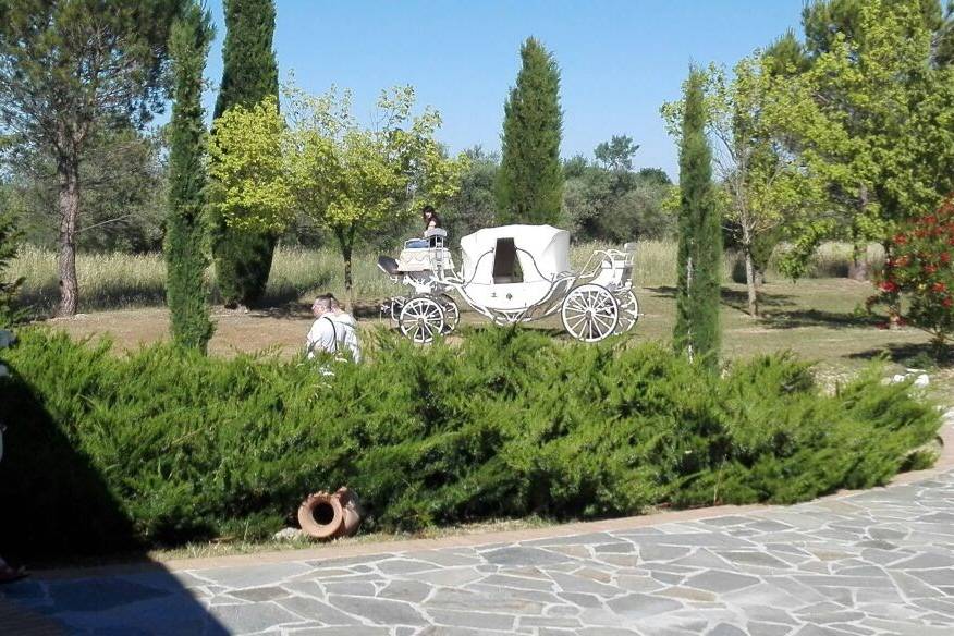 Polvere di Eventi di Monica Recchia - Event & Wedding Planner