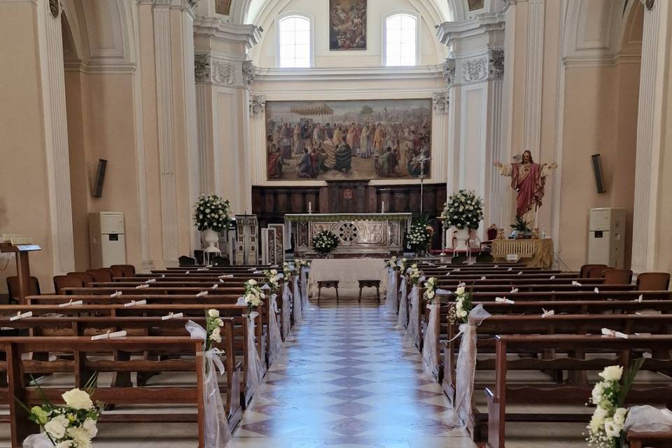 Campo dei fiori Manfredonia