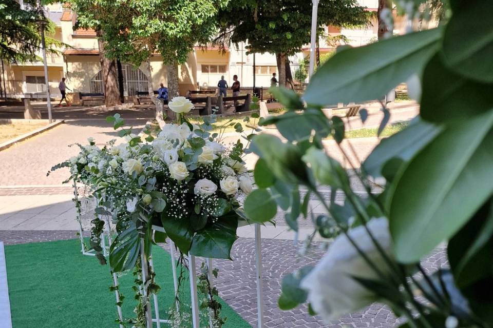 Campo dei fiori Manfredonia