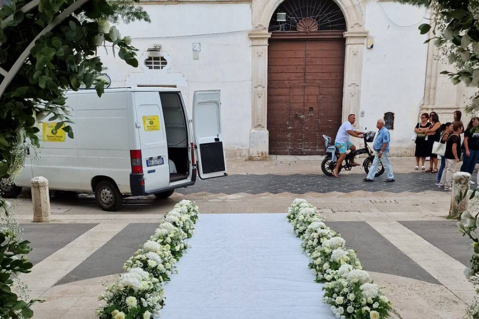 Campo dei fiori Manfredonia