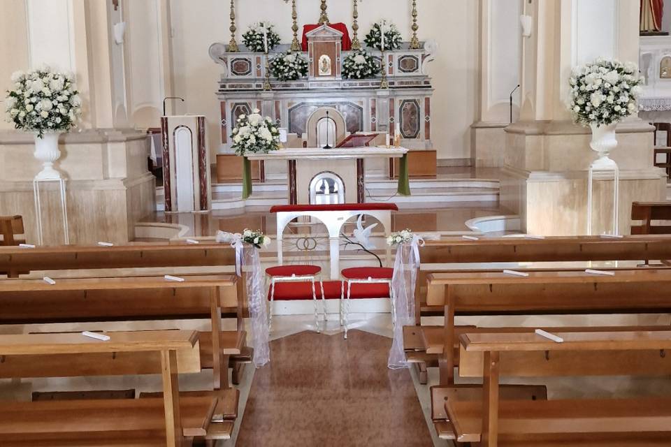 Campo dei fiori Manfredonia